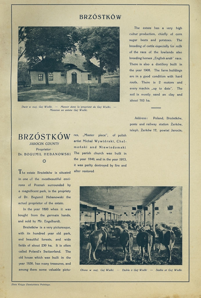 019 brzostkow.jpg